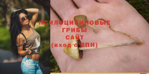 гашик Алзамай