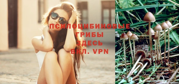 МДПВ Алексеевка