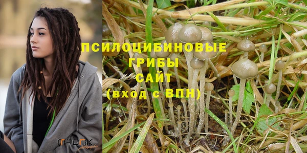 гашик Алзамай