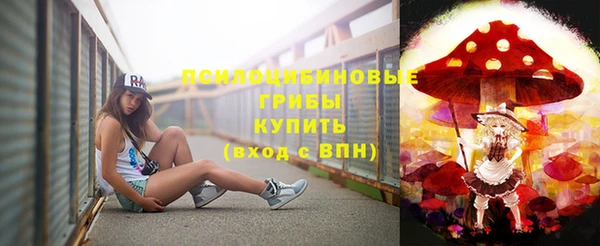гашик Алзамай