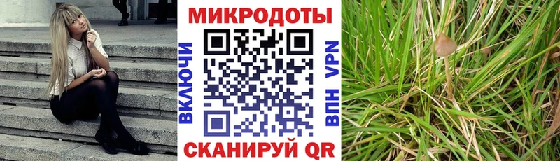 Псилоцибиновые грибы Magic Shrooms  mega   Томск 